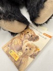 Steiff Classic Teddy Bear  Black Mohair Jointed Germany 000584 Tags