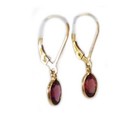 19thc Antique 2ct Garnet 14ktgf Earrings  Ancient Hebrew Talmudic Talisman Flood