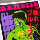 Beastie Boys 1995 Kozik Concert Poster 19 02x12 95in No Frame Reproduction