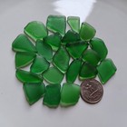 Green Sea Glass 22 Med-lg Frosty Kelly Pieces Jq Genuine Surf Tumbled Nyc Beach 