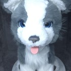 Furreal Friends Ricky The Trick Lovin  Puppy Dog Only Hasbro No Bone Tested