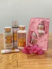 Bath   Body Works Champagne Toast  Gift Set Lotion  Mist  Wash  Cream   Pink Bag