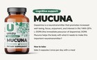 Umzu Mucuna Cognitive Support Dietary Supplement 60 Capsules New Sealed