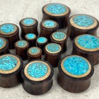 Pair Of Sono Wood With Crushed Turquoise Inlay Plugs Gauges Organic Plugs