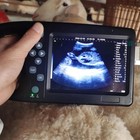 Vet Ultrasound Scanner 6 5mhz Rectal Probe Pregnancy  Test For Cow Horse Cattle