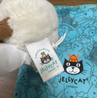 Jellycat Amuseables Boiled Egg Plush Keyring     Soft Toy Bag Charm New With Tags