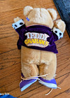Vintage Nabisco Teddy Grahams 10  Plush Teddy Bear  1990 Applause