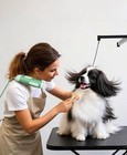 Landw Bros  Hands-free Dog Dryer     Powerful And Professional Pet Blow Dryer
