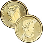 Canada Gold Polar Bear Coin 1 10 Oz  5 - Bu - Random Date