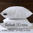 Euro Pillow Inserts 30x30-feather And Down Fill - Cotton Fabric
