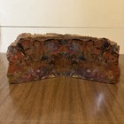 Arizona Rainbow Petrified Wood Bookends Bookmatched Pair Large Polished Fossil