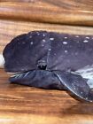 Folkmanis Puppets Narwhal Hand Full-body Puppet Plush Stuffed Animal 27  Long