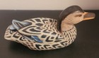 Lot Of 7 Wooden Duck Decoy Figures Sculpture Carved Painted Various Sizes 