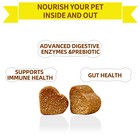 Dog Probiotics Digestive Enzymes For Gut Health 120 Probiotic Chews Supplement