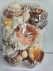 Vintage Sea Shells Craft Pack Assorted Sea Shell Value Tray Beach Decor New