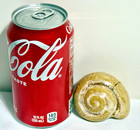 Large Gastropod Natica Fossil With Iridescent Crystals   45 Lb  207 Grams    586