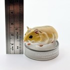 Hamsters Lunch 1 5 Dzungrian Hamster Bottle Cap Figure Japan Exclusive Kaiyodo