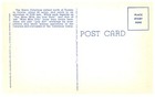 Vintage Postcard 1950s-60s Catalina Mountains Near Tucson Arizona Cactus