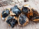 Wholesale Raw Dendritic Agate Nodules 1 Kg  wet Shot  Rough For Cabbing