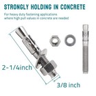 3 8  X 2-1 4 Inch Strong Wedge Anchor Stainless Steel Screws And Lag Bolts Fo   