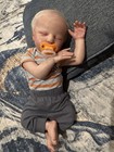 Reborn Dolls 21in  6lb 4oz Baby Doll Boy