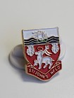 St John s Nfld Coat Of Arms Travel Souvenir Lapel Pin Newfoundland Canada
