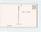 Postcard Bulls Moose