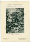 Antique Or Vintage Photoprint Specimen  Rommler   Jonas  Dresden  Max Schmidt