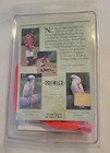  Premier Feather Tether Bird Harness   Leash Small Blaze Orange