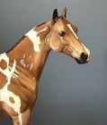 Peter Stone Ish Ideal Stock Horse Bay Tobiano Glossy Le 10 2012 Newton