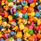 100 Assorted Rubber Ducks From The Rubber Duckery   Perfect For Duck Duck Jeep