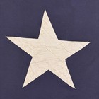 Vintage Cotton Texas State Flag Cloth Old Textile Art Usa American Sewn Star