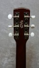 Vintage Sears Roebuck Model 319 Acoustic Guitar