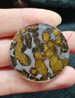 11 6g Kenya Sericho Pallasite Iron Meteorite Slice