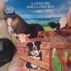 Standee display Universal Babe The Pig Cardboard Cutout   Promo  Limited Print