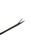 3 5    6 5  Alligator Forceps Pocket Size Long Shaft Forceps  - Stainless Steel