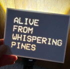 Lord Huron - Alive From Whispering Pines Lithophane Tv  Screens
