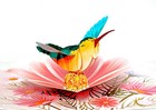 3d Pop Up Greeting Card Hummingbird Flower Floral  Birthday Get Well Thank You