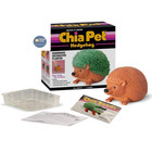 Chia Pet Hedgehog With Seed Pack  Decorative Pottery Hedgehog  Terra Cotta