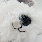Fao Schwarz Gray White Sheep Dog Plush 10    Red Sparkle Collar Stuffed Animal Toy