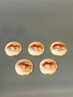 Antique Japanese Meiji Period Hand Painted Satsuma Button - Goldfish Set 0f 5