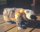 Hansa Creation Wolverine Plush Realistic Wildlife Stuffed Animal Hand Crafted