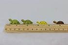 Miniature Turtles  Wood   Ceramic  Lot Of 4