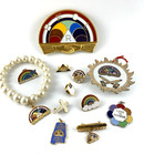 Rainbow Girls Pins  Bracelet  Charms  Ornament  Emblem   Lot Of 12   Vg   Nos