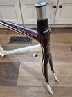 Specialized Dolce Sport  Road Frame Set With Carbon Fiber Fork 51 Cm  wm 