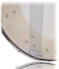 Griffin Snare Drum - Black 14 x5 5 Poplar Wood Shell Acoustic Percussion Kit Set