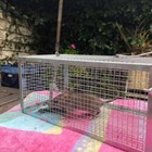 3pcs Humane Rat Trap Cage Small Live Animal Pest Rodent Mouse Control Catch Bait