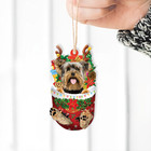 Yorkshire Terrier Dog Snow Pocket Christmas Ornament  Yorkie Dog Xmas Ornament