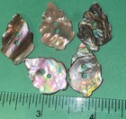  5  New Unused 1    Leaf Or Tree Iridescent Pearl Shell 2-hole Buttons-z201
