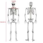 Halloween Skeleton Oversized Poseable Human Full Life Size Party Decor Prop